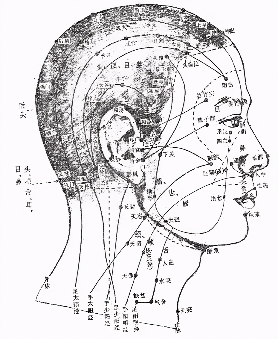 科学生儿育女技巧,中医治疗不孕症常用的偏方有哪些