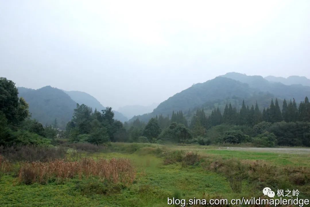 四川青城山问道,问道青城山最新消息