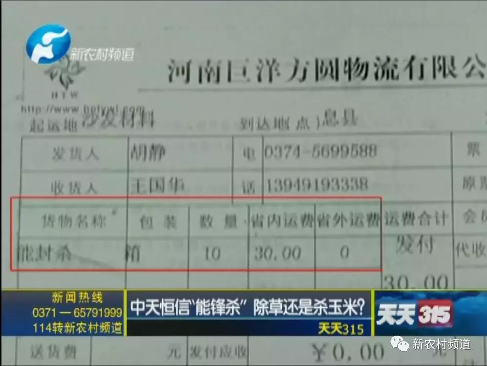 玉米除草剂药害玉米减产吗,玉米受药害减产吗