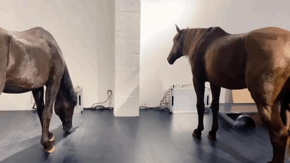 别争了，这条马路才是魔都内卷之王