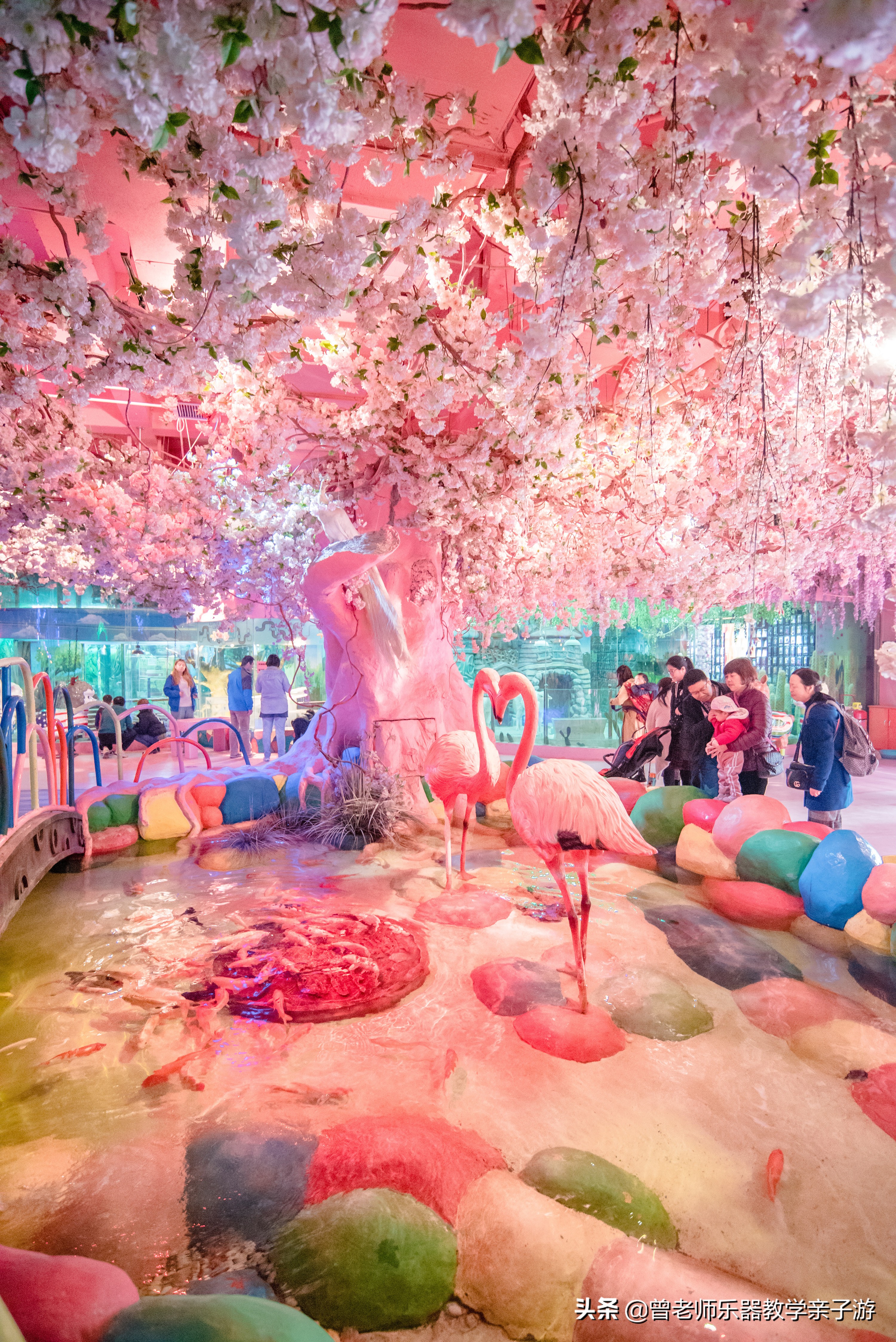 西安太奥海洋馆,西安极地海洋世界海豚表演