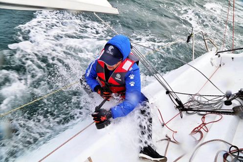 青岛上山下海帆船联赛,旭辉青岛银盛泰
