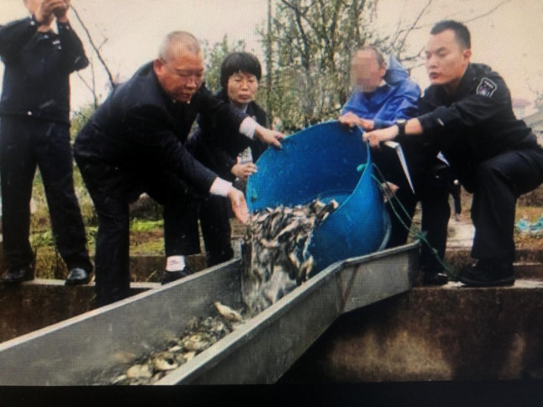 最高检长江经济带典型案例第二批,最高检长江经济带典型案例第三批