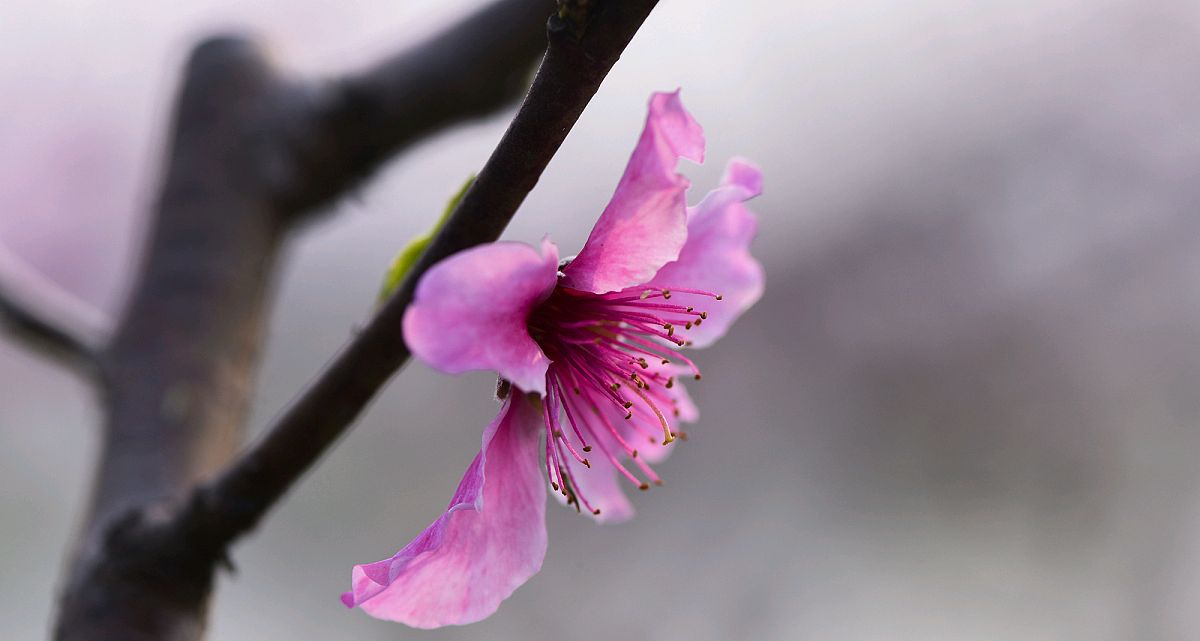 男人和女人三观合不合是指哪三观,家庭三观不合指哪三观