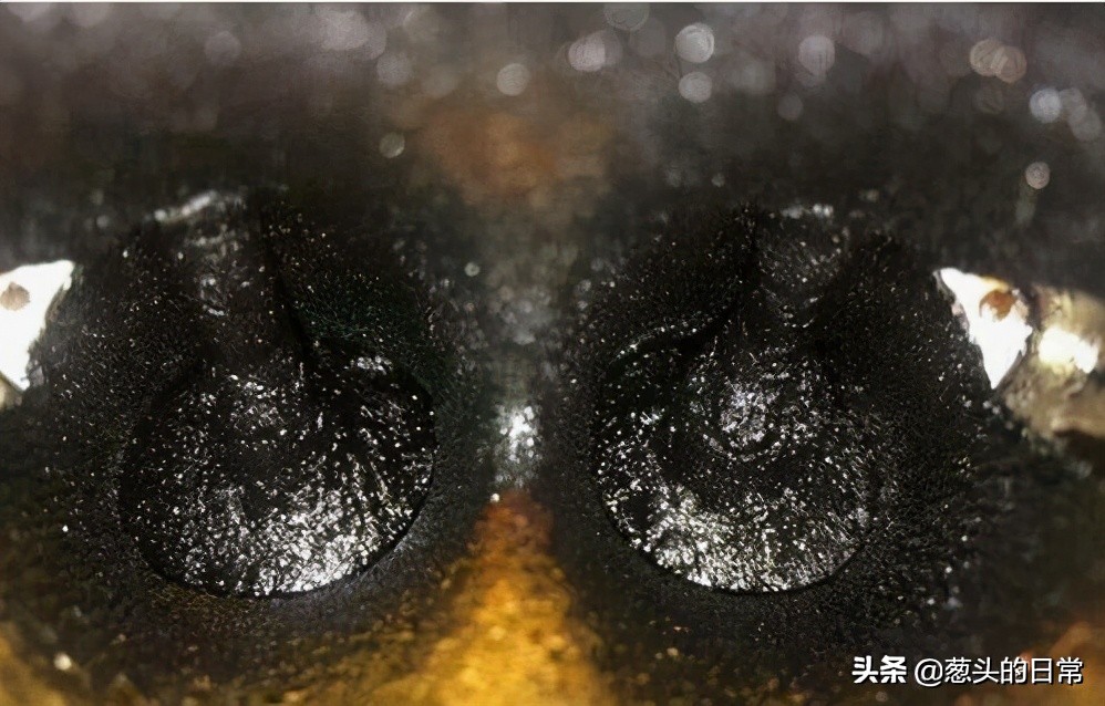 涡轮增压有哪五大缺点,涡轮增压自然吸气优缺点