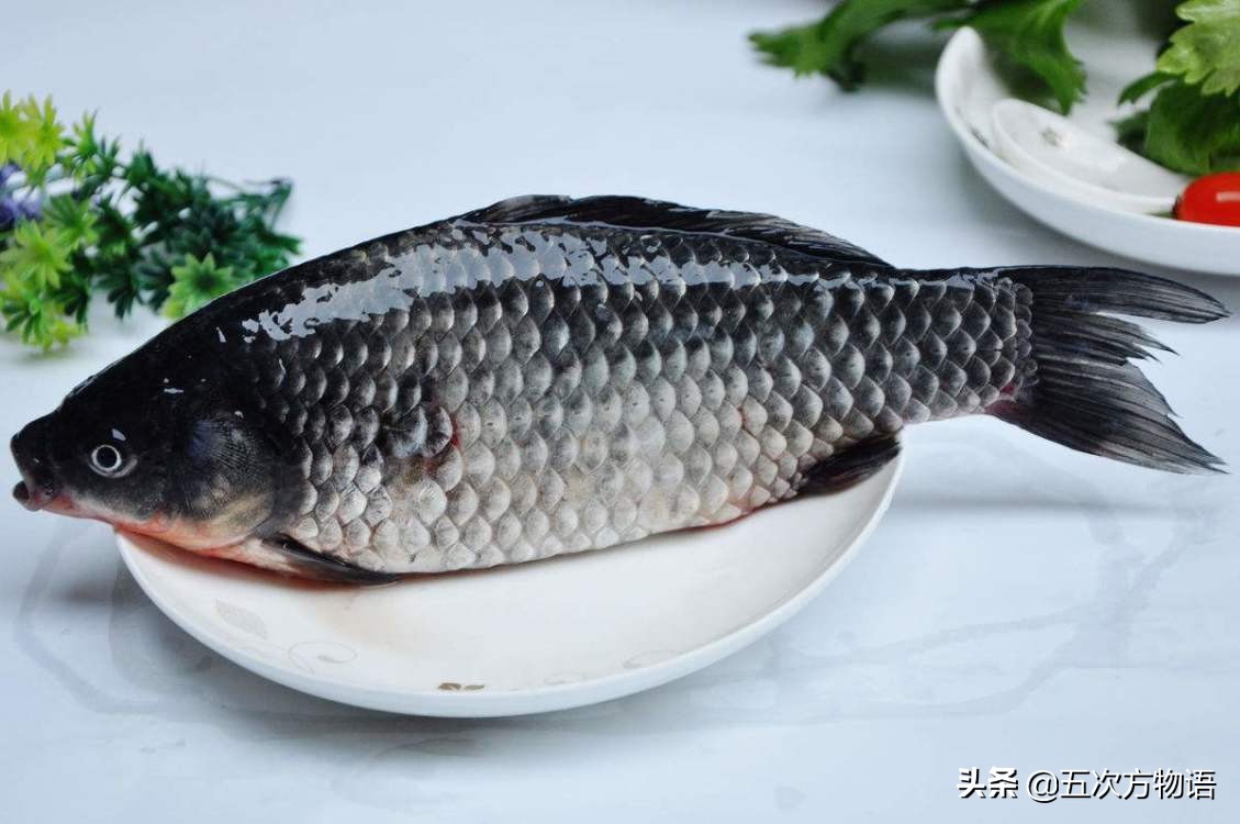 中国四大家鱼的视频,人们常说的四大家鱼