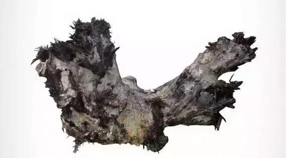 乌木到底是什么凭啥这么珍贵,乌木到底有什么价值