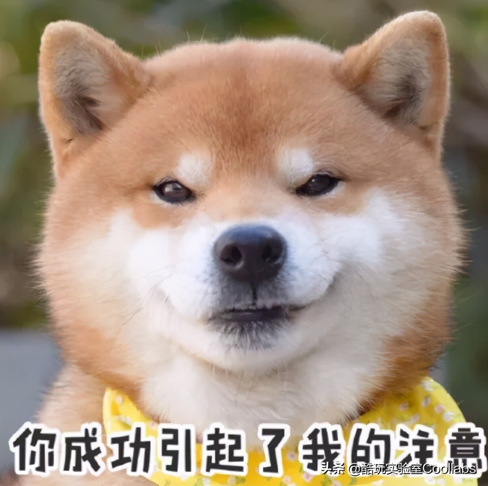 81岁河南首富，*养包***妇情**、暗通美国？