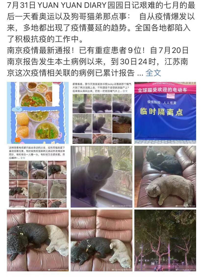 园园日记旅行,园园日记完整版