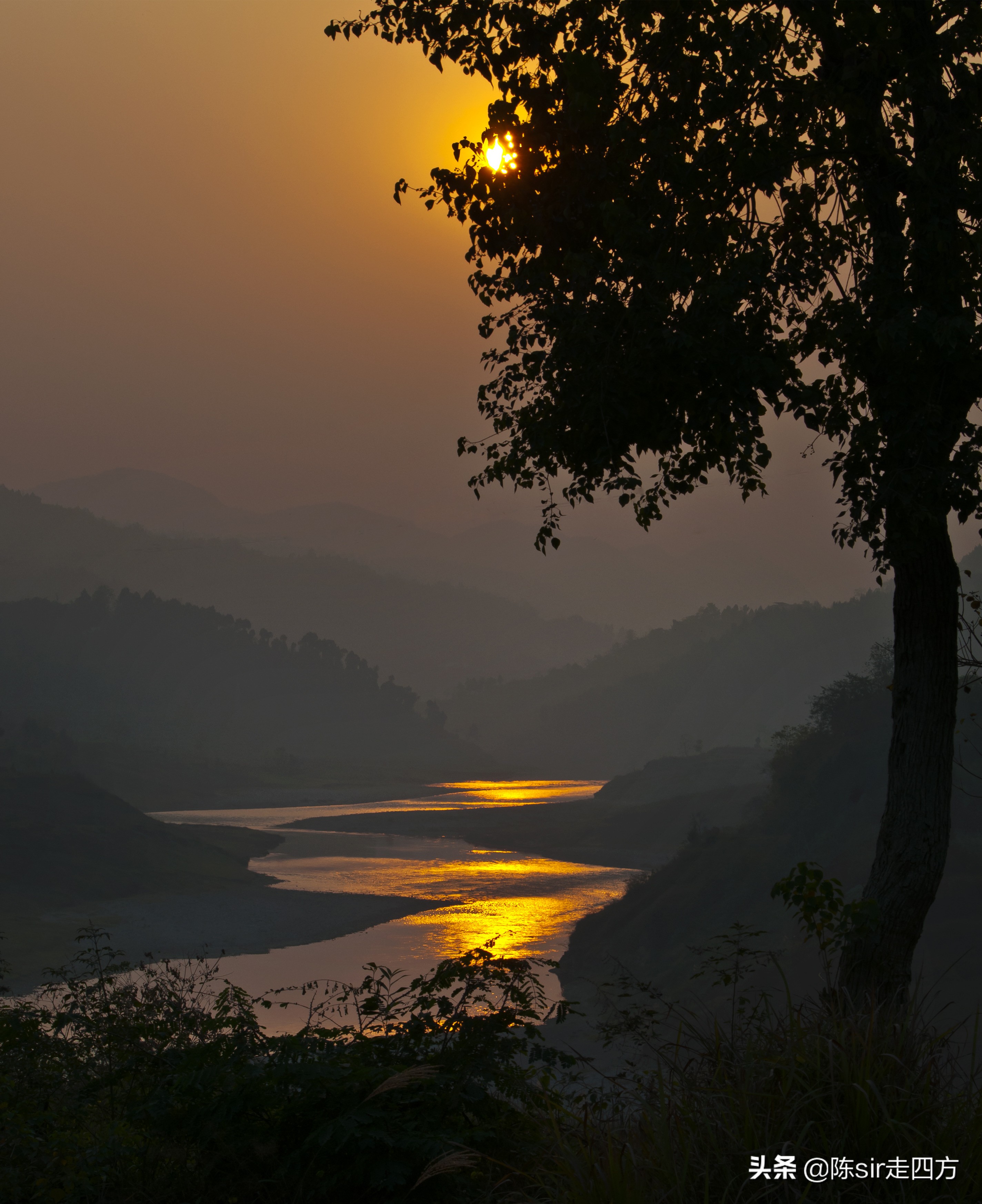 遵义花海音乐节,遵义最近有什么音乐节