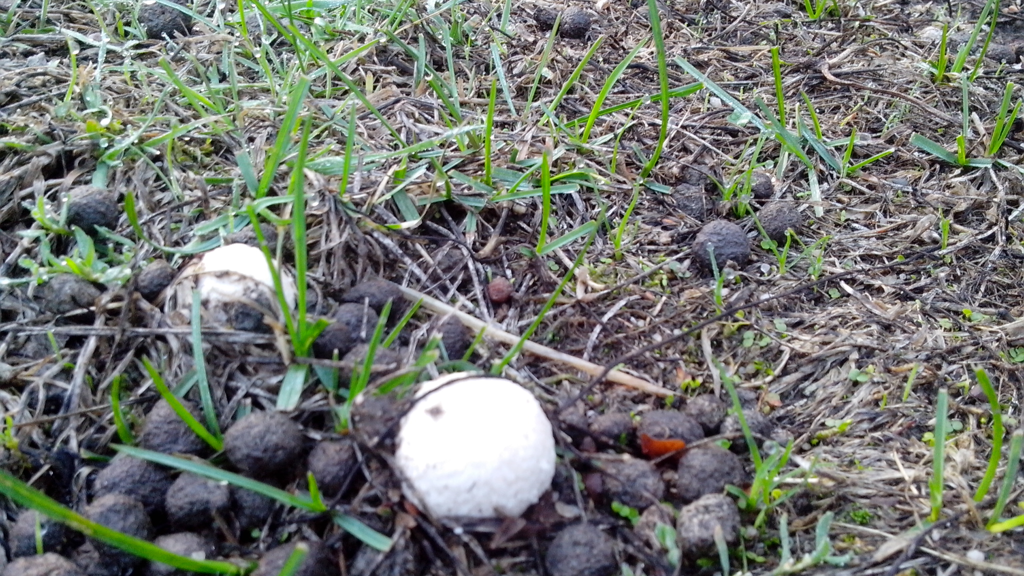 德国男人谨慎又开放，哪是真，哪是假，你怎么看？