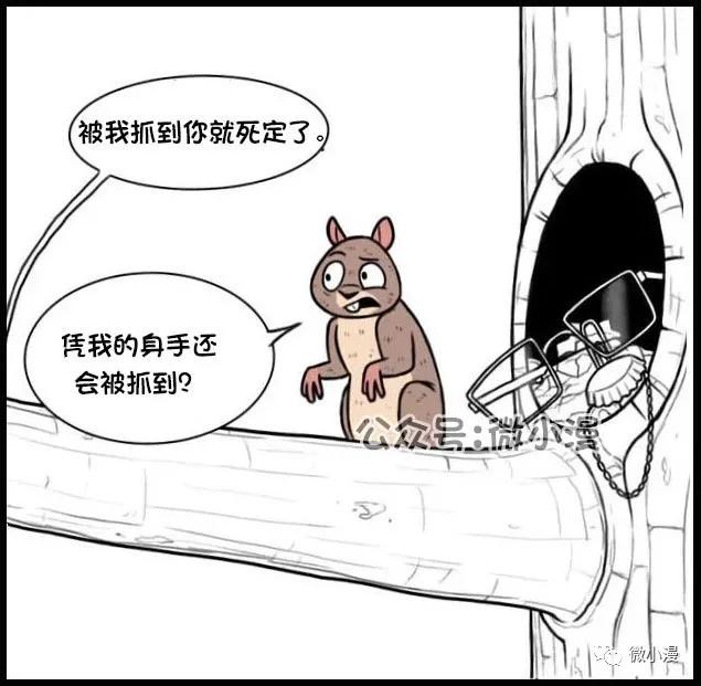 小猫咪欺负大狗漫画,小猫咪欺负大狗漫画暖心