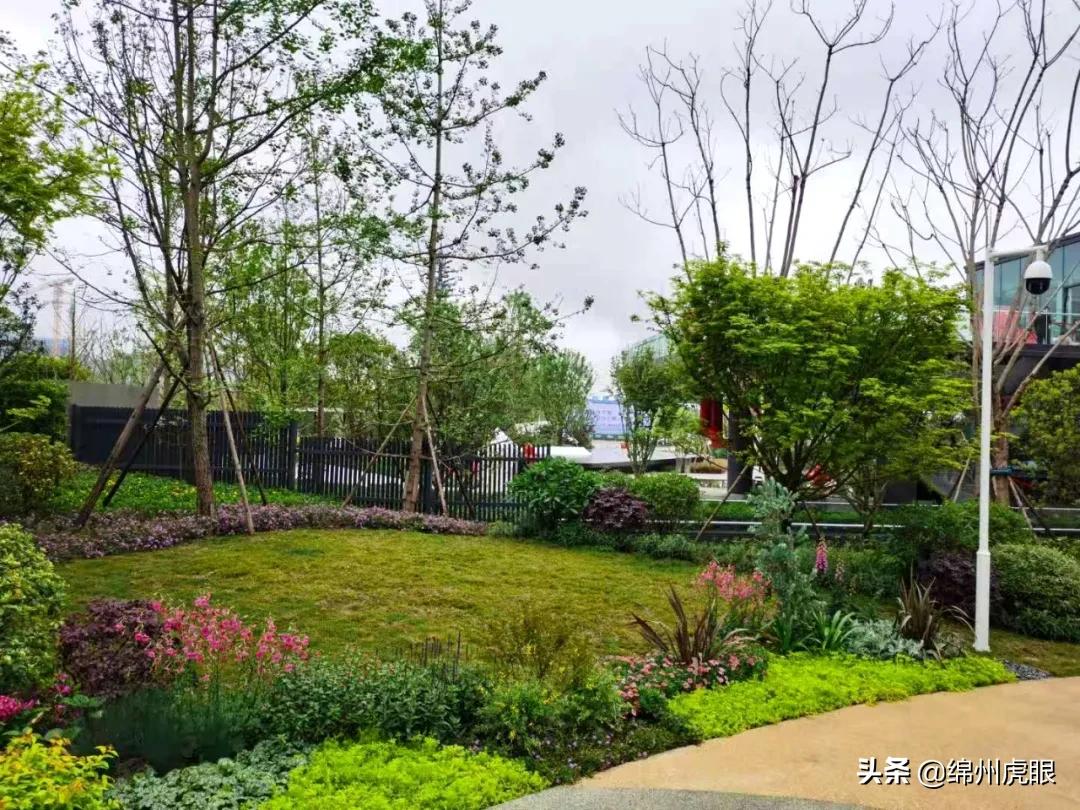 绵阳2021交房的高品质楼盘,绵阳各区域的高端楼盘