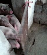 搞笑gif吓死我了,搞笑gif图等着我来救你