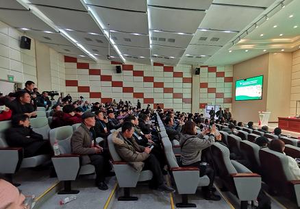 惠水第29届兰博会兰花获奖图片,惠水国际兰花展