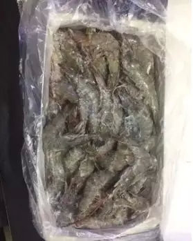商品饵成分自制方法,发酵鱼饵绝密配方
