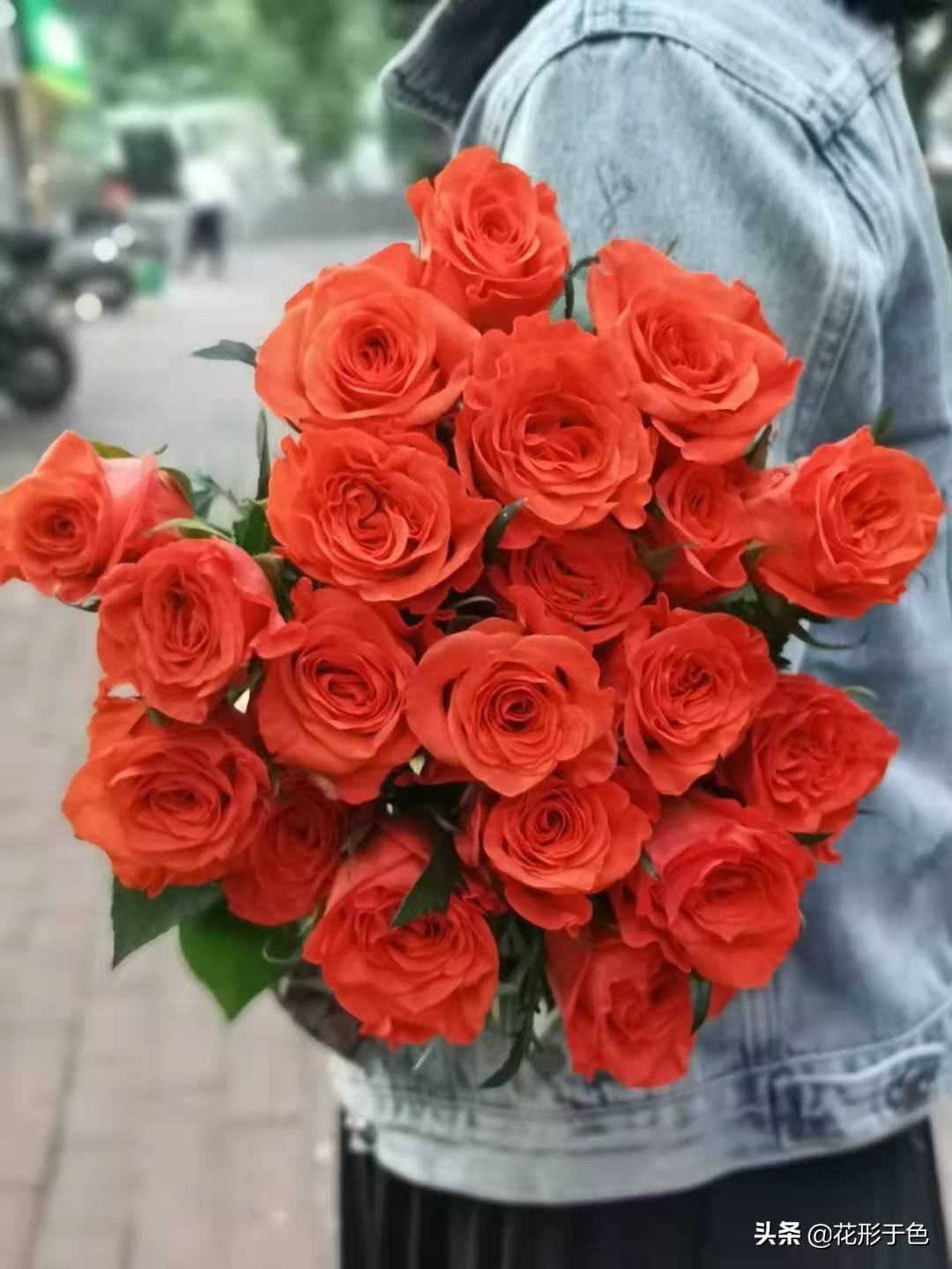 玫瑰品种品鉴,玫瑰花品鉴