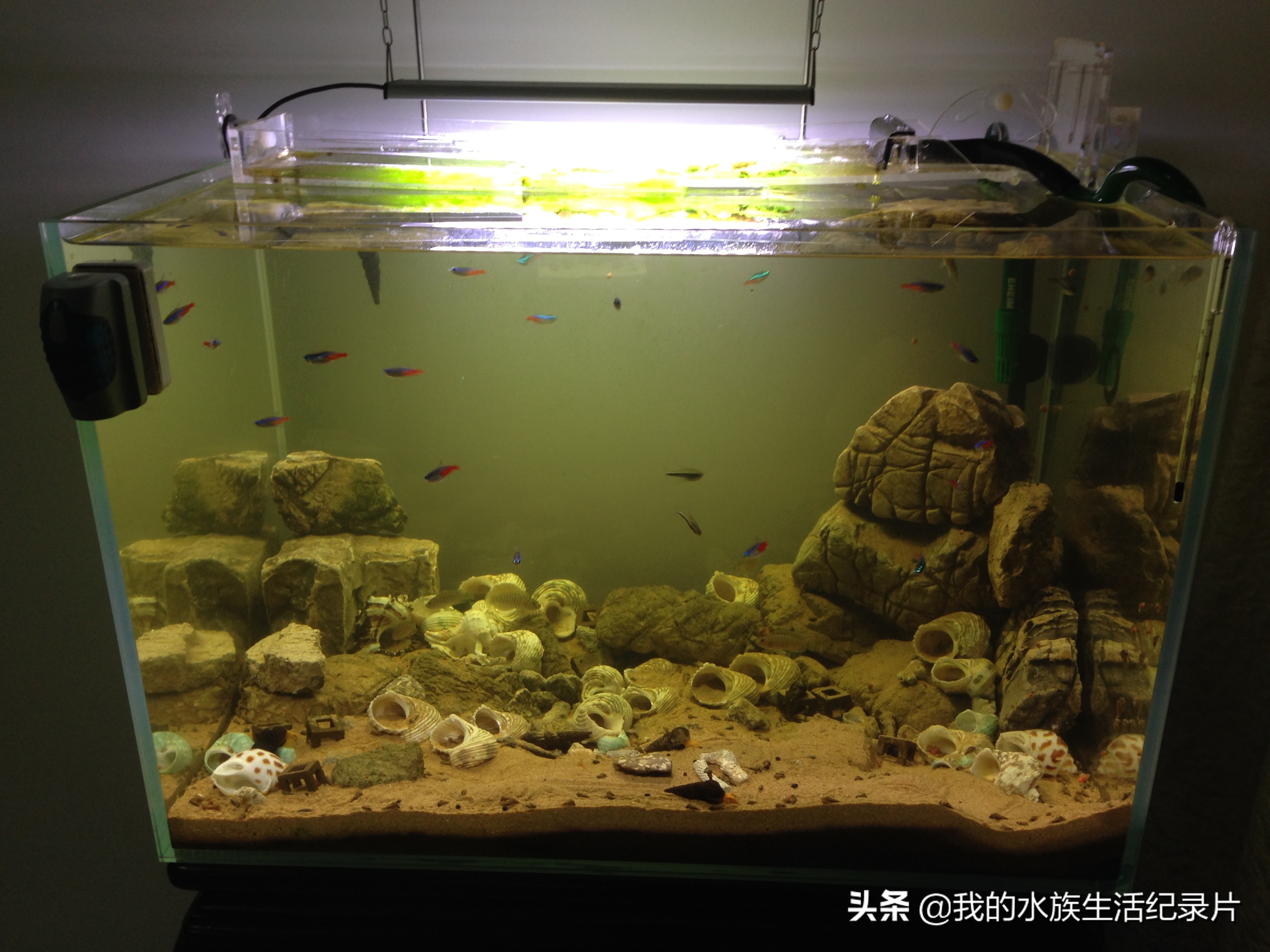 亚克力板鱼缸过滤器自制纯手工,亚克力壁挂鱼缸过滤器制作