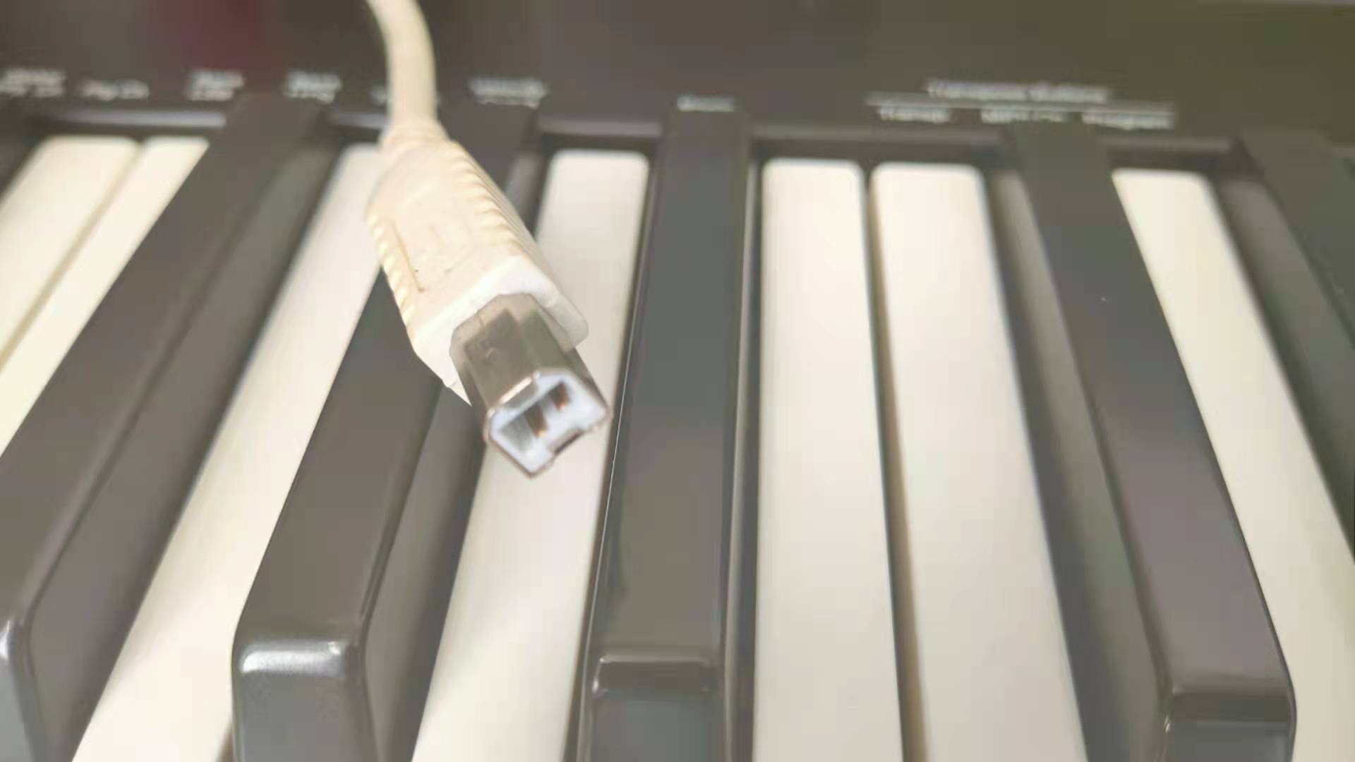 编曲是midi键盘好还是合成器好点,电钢琴做midi键盘怎么样