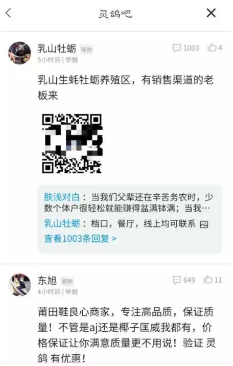 王欣介绍灵鸽,王欣灵鸽