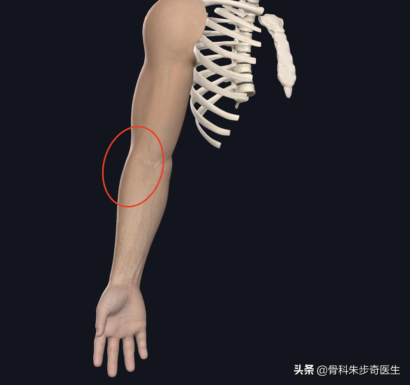 今天胳膊疼吃啥药,为什么胳膊有一阵一阵的痛