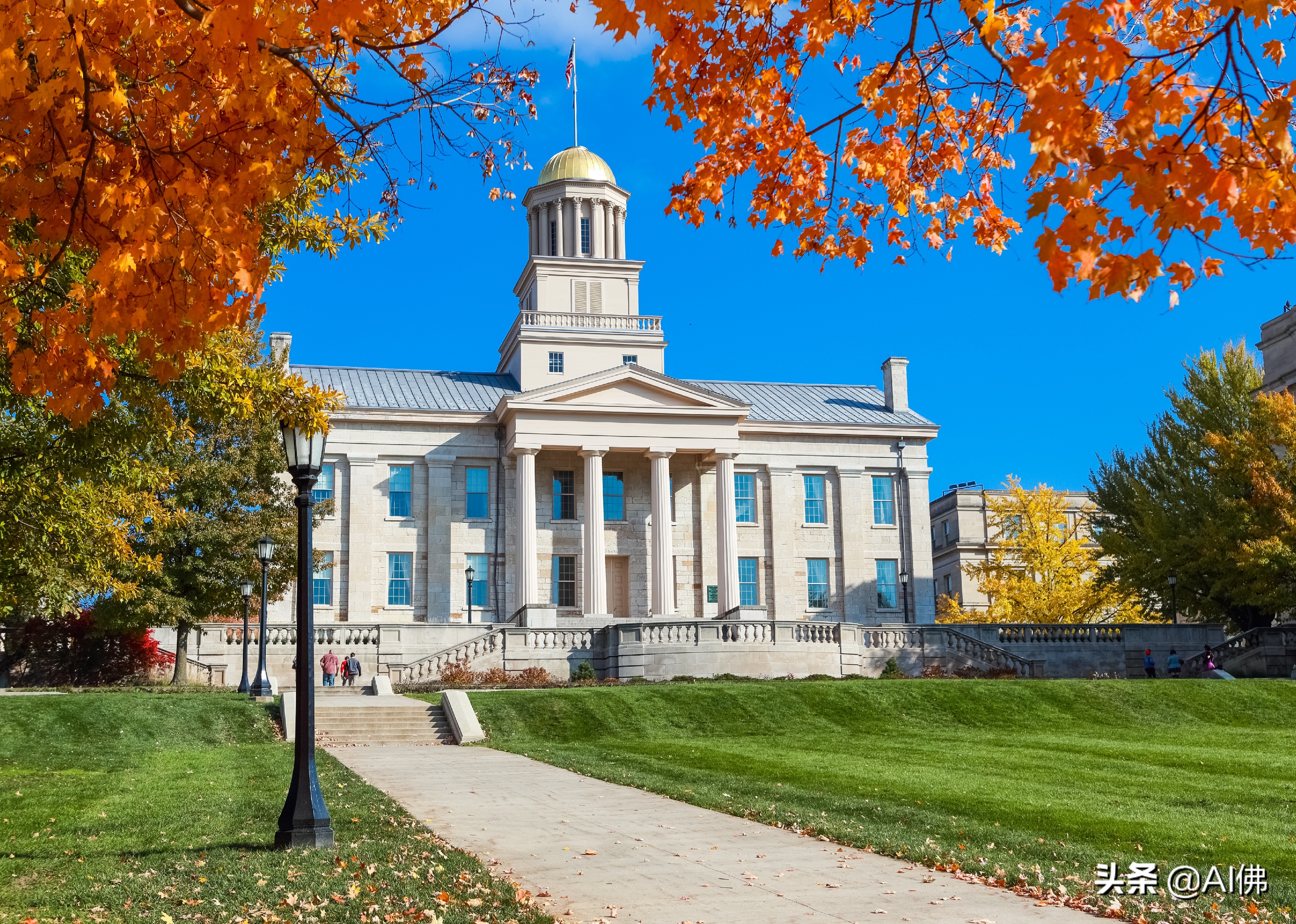 美国东部公立大学排行榜,美国各州最好的公立大学