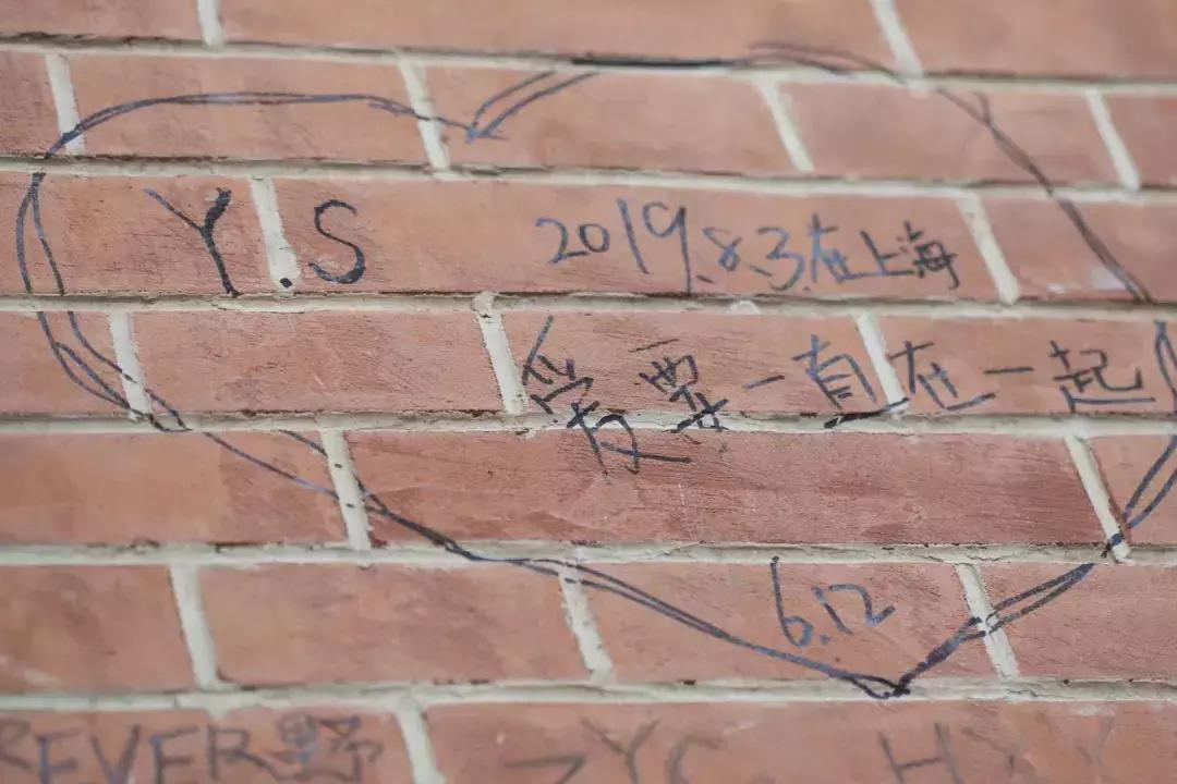 张晋蔡少芬上海街头,张晋蔡少芬上海游