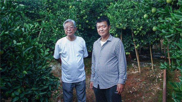 褚时健什么时候创建的褚橙,褚时健褚橙是全亚洲第一名吗