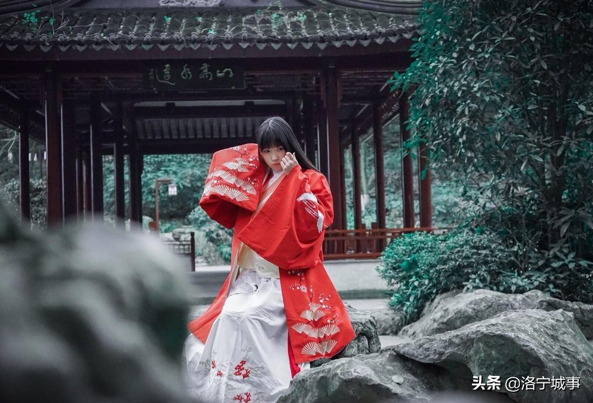 河南洛宁马红军,洛宁马红军咏牡丹视频