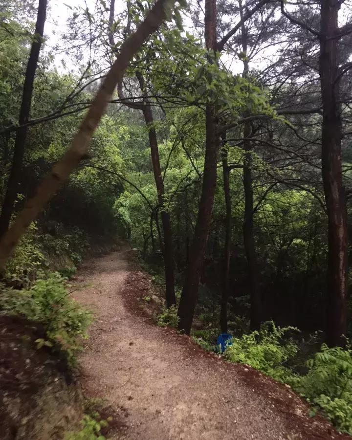 平江碧龙峡景区值得去玩吗,平江碧龙峡全长多少公里