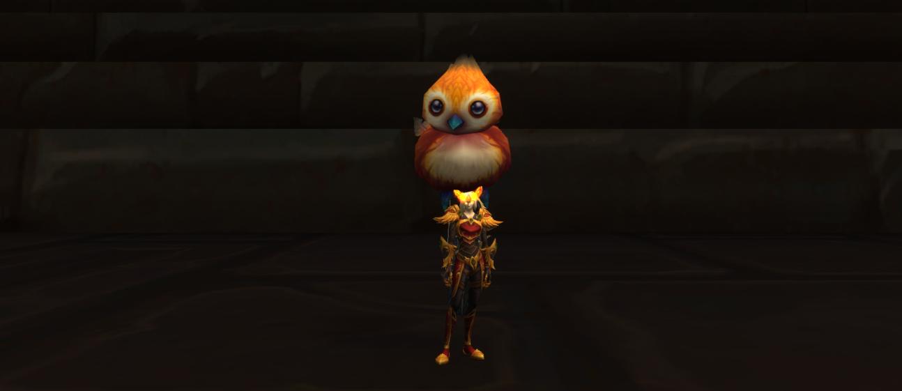 魔兽万灵旅店—魔兽超萌宝贝，让它获得你头发的永久居住权