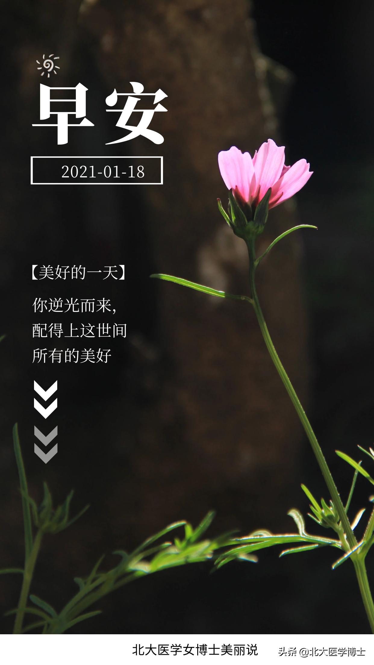 *处私**瘙痒反反复复？中药内服外洗治35名愈29名，医生咋做到？