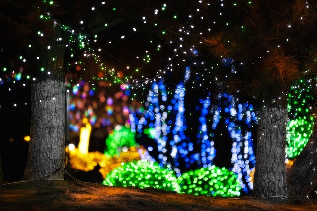 灯图片大全艺术,灯图片大全免费