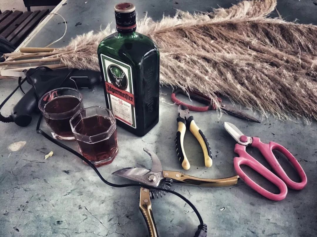 爆改废弃工厂，看三个姑娘如何施展植物魔法