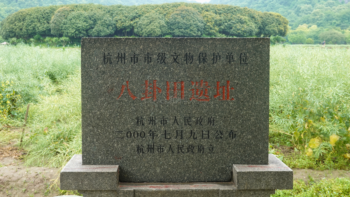 杭州八卦田遗址归谁,杭州南宋八卦田遗址公园