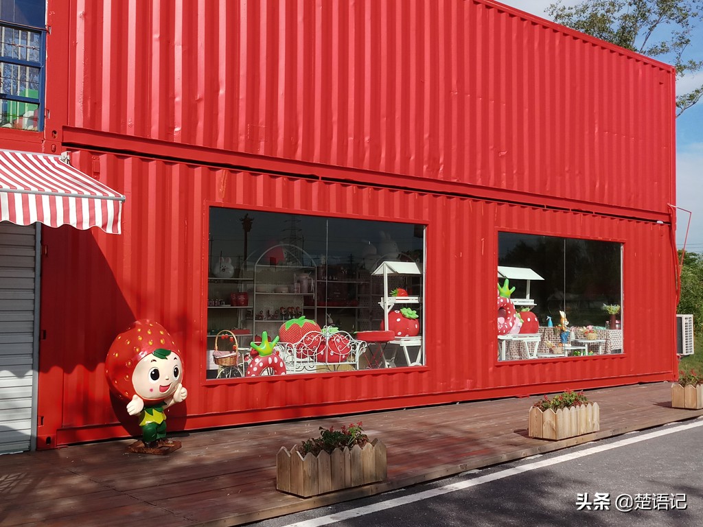 句容白兔镇草莓之乡,白兔镇樱花园