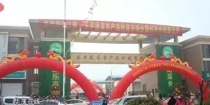 中国蔬菜批发市场大全,邓州菜农蔬菜批发市场在哪里