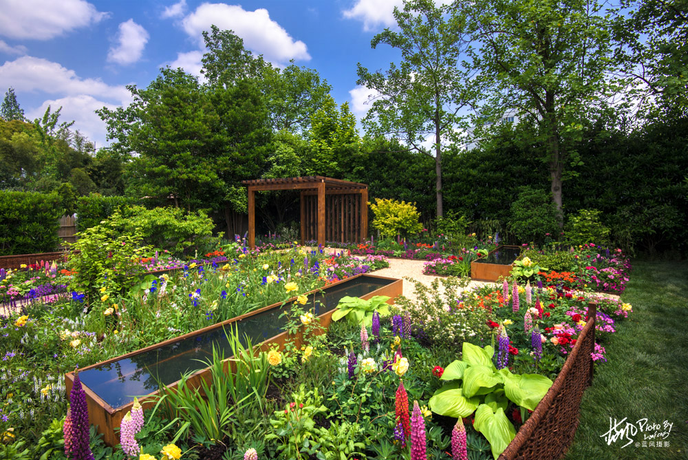 上海国际花展一览表,上海国际花展一览