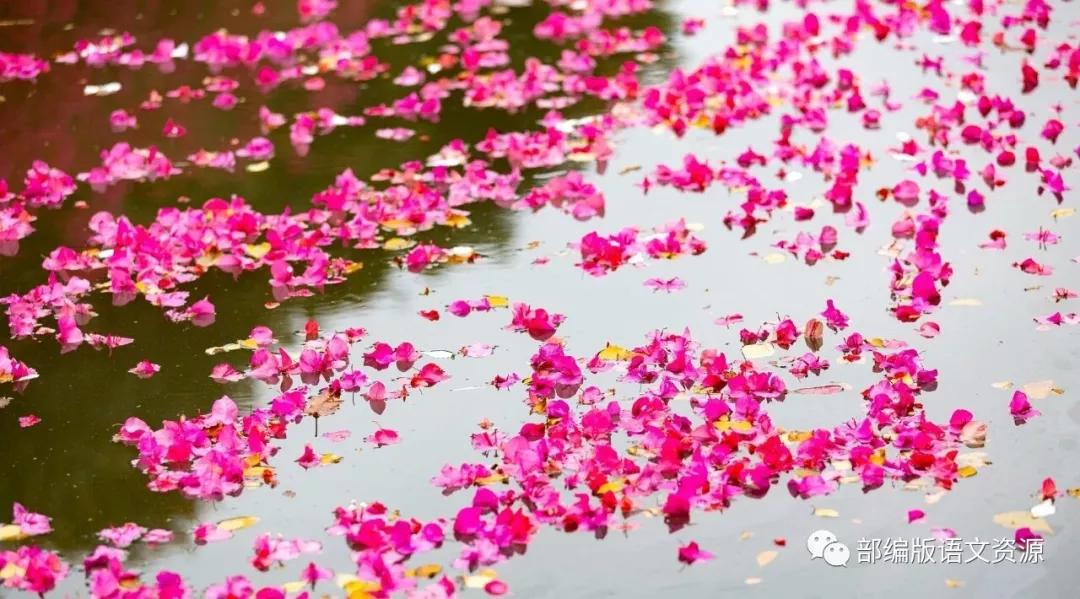 部编版语文六年级上册总复习知识,人教版语文六年级上册知识点整顿