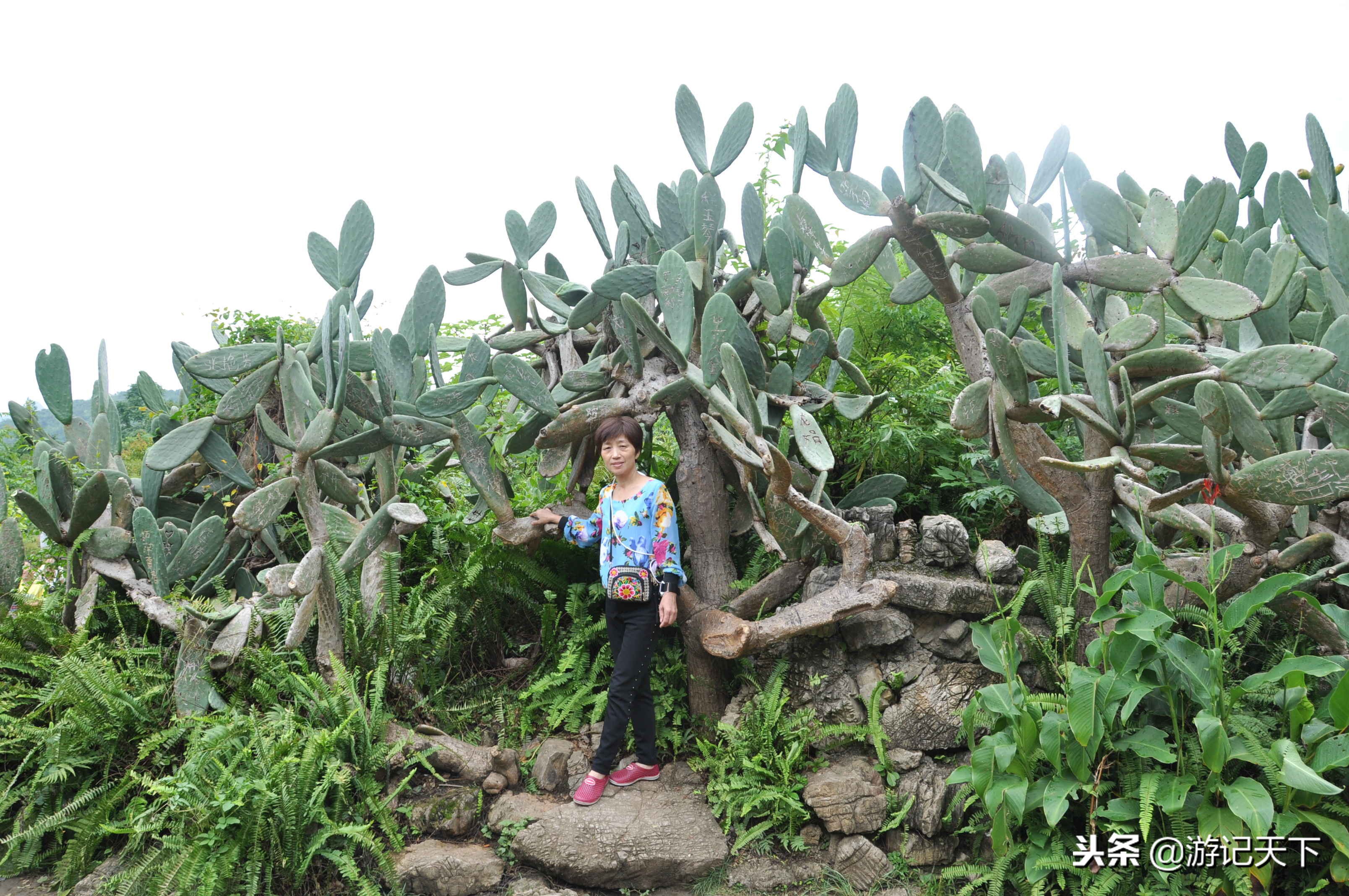 亚洲第一瀑——黄果树大瀑布