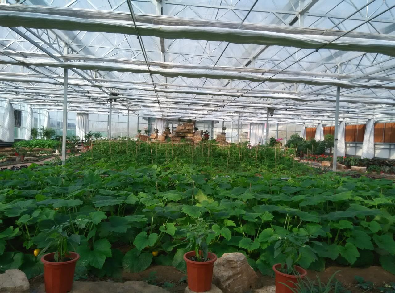 小构件大作用，薄膜大棚M撑简介