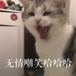 蔡徐坤被黑粉骂的开始时间,蔡徐坤被黑粉骂后有什么反应