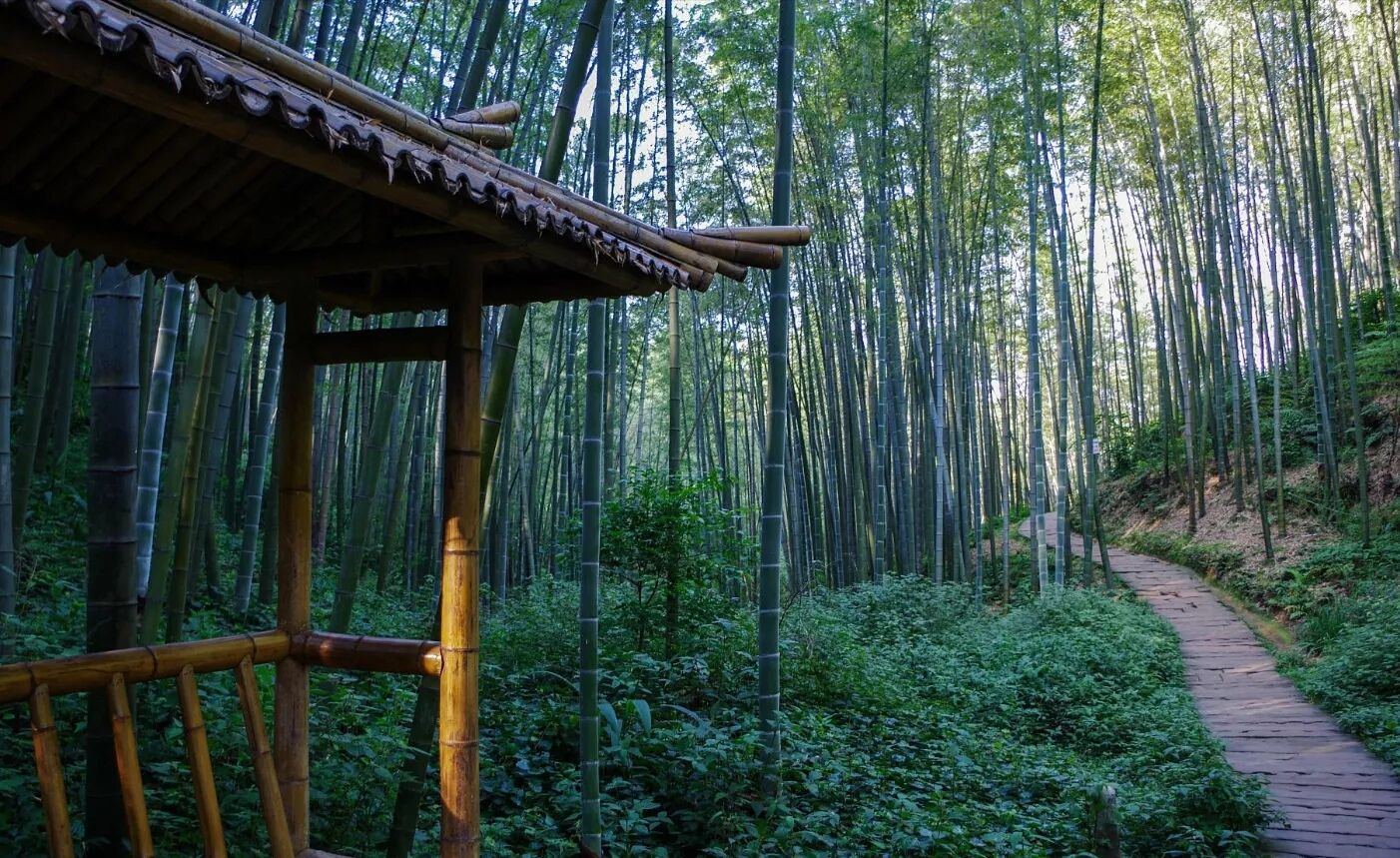 诗意的人生诗句,有关诗意人生的诗词