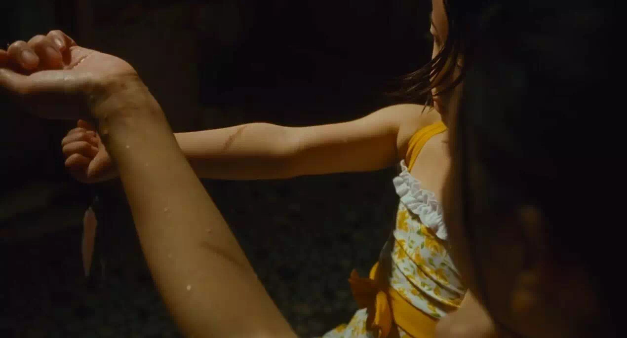 推荐电影小偷家族,小偷家族戛纳金棕榈获奖