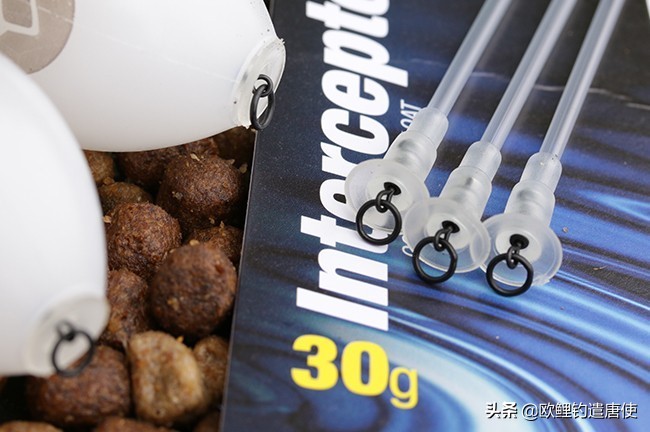 话说欧鲤钓之科学篇,欧鲤钓知识讲解