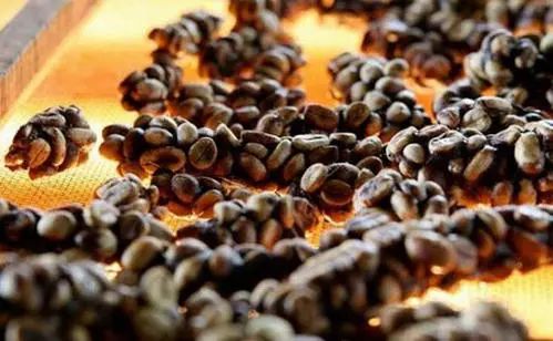 好猫真假辨别方法,如何辨别猫屎咖啡真假