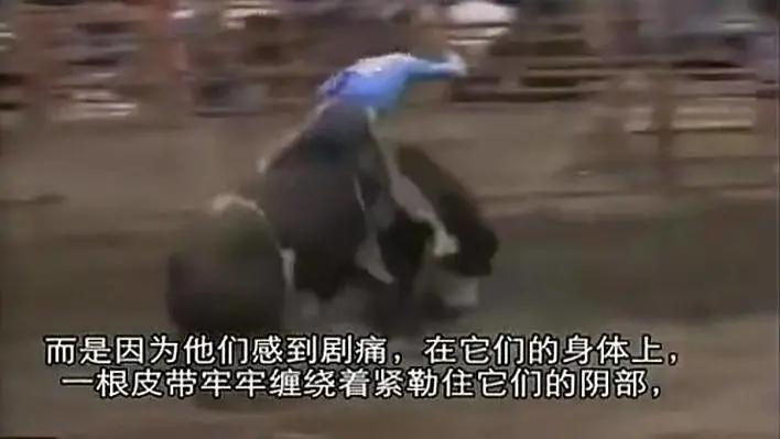 总统喊你来看片，这波硬核安利我吃了