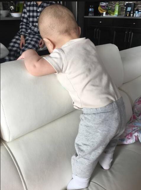 宝宝七八个月站太早容易得o型腿,7个月宝宝要走路咋办