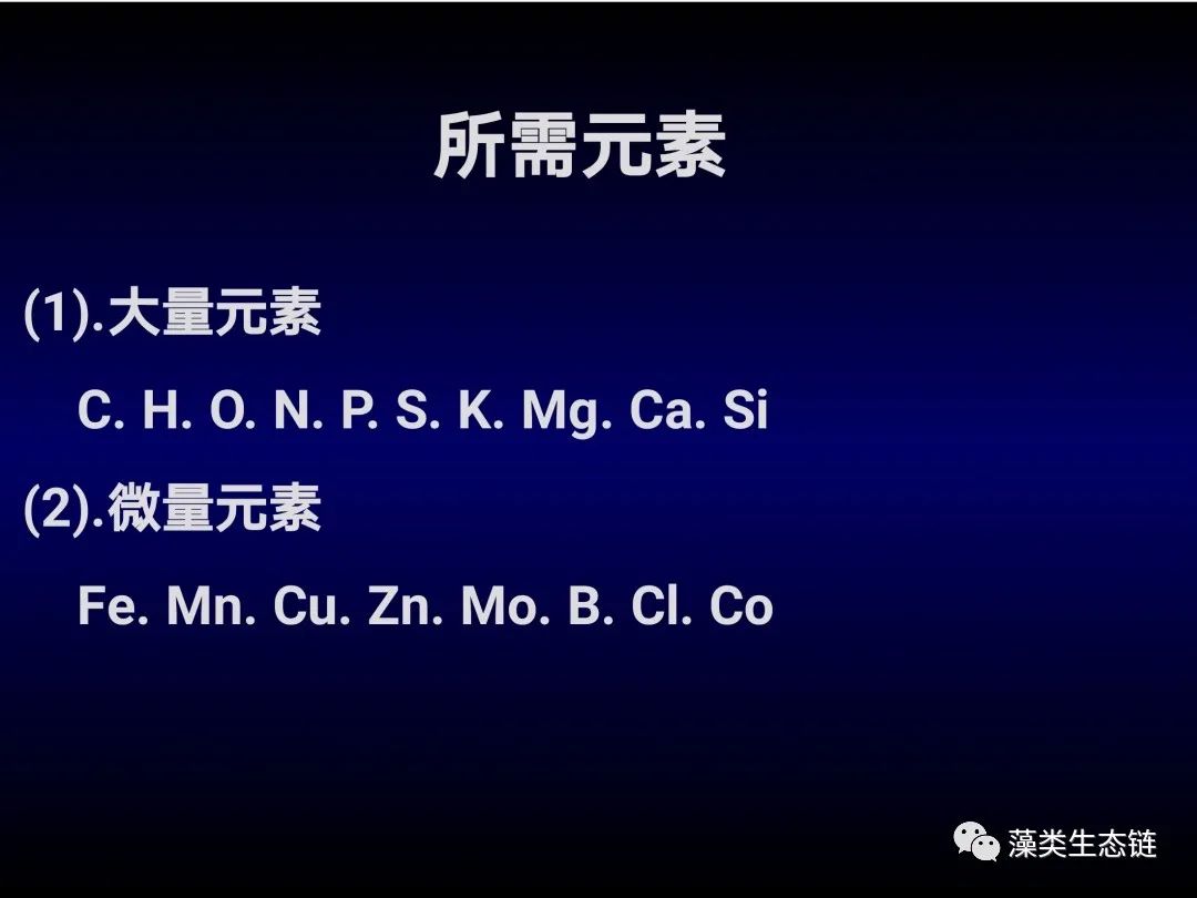 藻类培养课程视频教程,海南藻类生态链