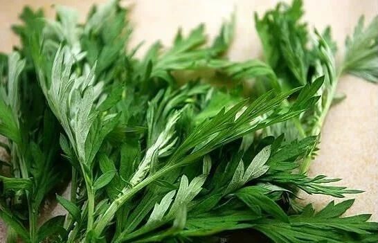 夏天吃这种味道的食物胜过补药,推荐10种宜于春季食用的食物